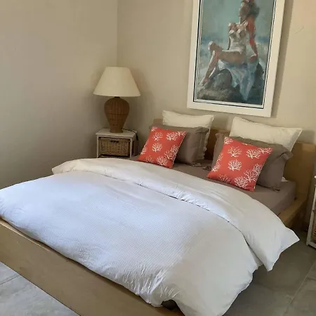 Villa Climatisee Avec Piscine, Jardin Et Parking - 8 Personnes, Proche - Fr-1-607-182