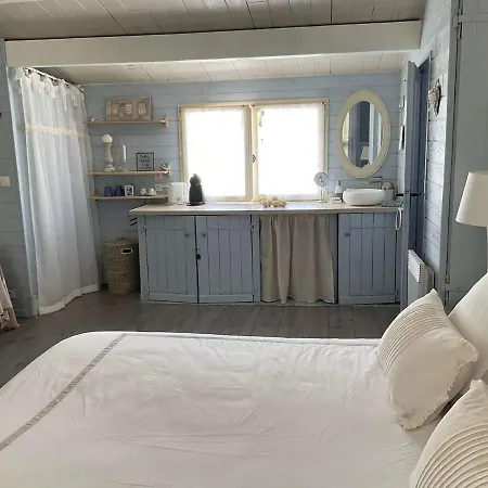 Climatisee Avec Piscine, Jardin Et Parking - 8 Personnes, Proche - Fr-1-607-182 Agde